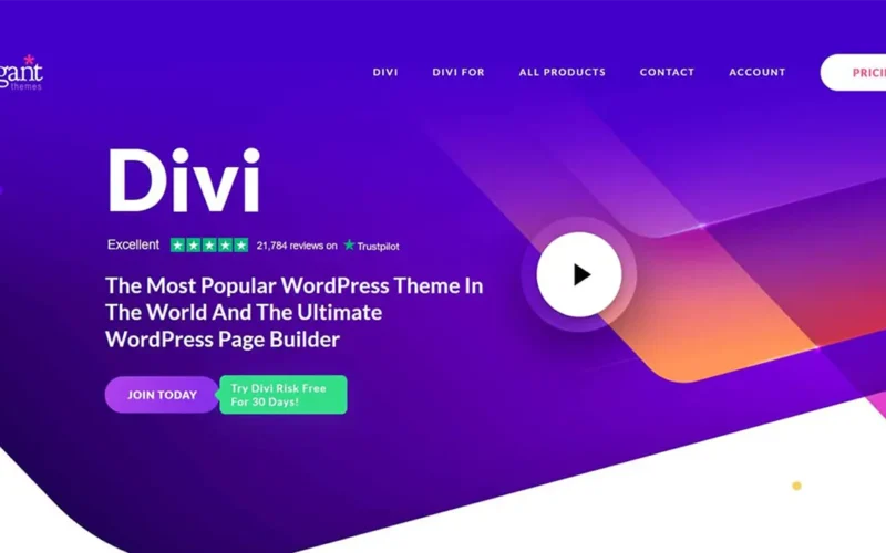 Divi - WordPress website builder