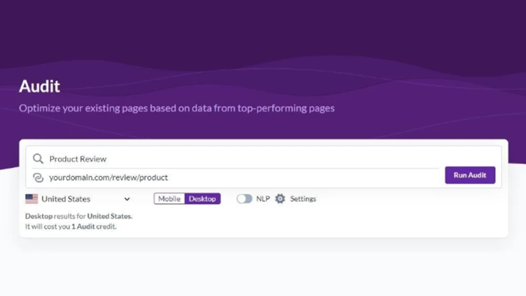 Surfer SEO – Site Audit